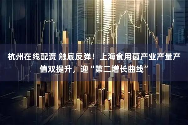 杭州在线配资 触底反弹！上海食用菌产业产量产值双提升，迎“第二增长曲线”