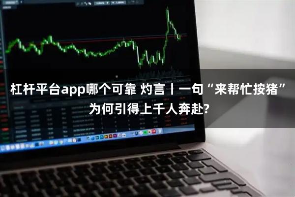 杠杆平台app哪个可靠 灼言丨一句“来帮忙按猪” 为何引得上千人奔赴?